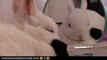 Each morning I wake up